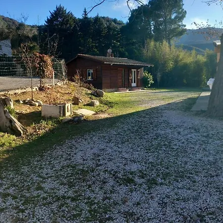 Petit En Bois Reynes